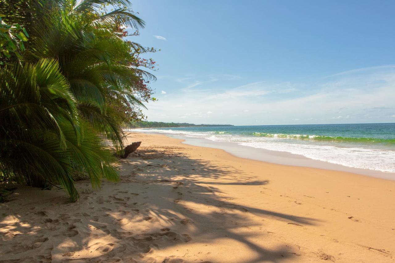 La Coralina Island House Hotel Bocas Town Kültér fotó
